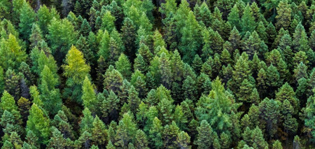 Posnetek zaslona 2025-07-24 102936